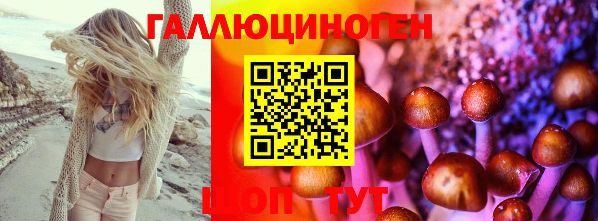 Котлас  Псилоцибиновые грибы Psilocybe  Вход с VPN 